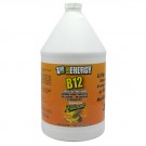 1st Step for Energy B12