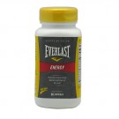 Everlast Energy